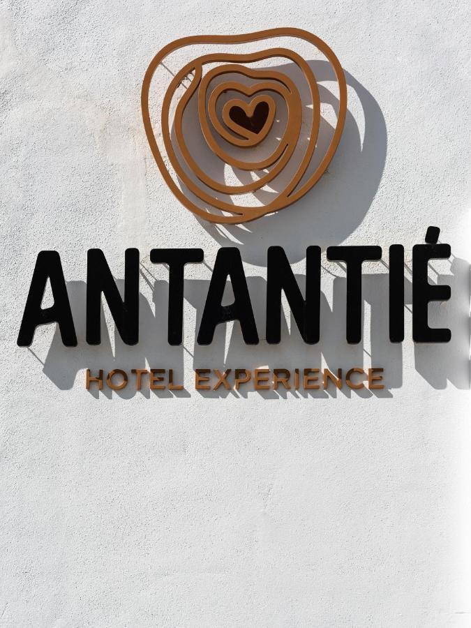 Hotel Antantie Conil De La Frontera Εξωτερικό φωτογραφία